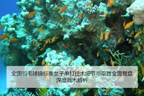 quan-guo-yu-mao-qiu-jin-biao-sai-nv-zi-dan-da-ji-shu-xi-jie-yu-qu-sheng-quan-mian-fu-pan-shen-du-zhan-shu-jie-xi-2-116.jpg